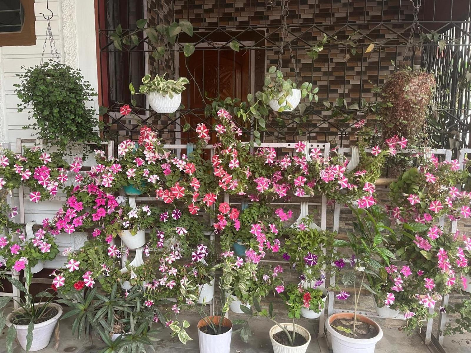 Amazing Homestay 구와하티 외부 사진