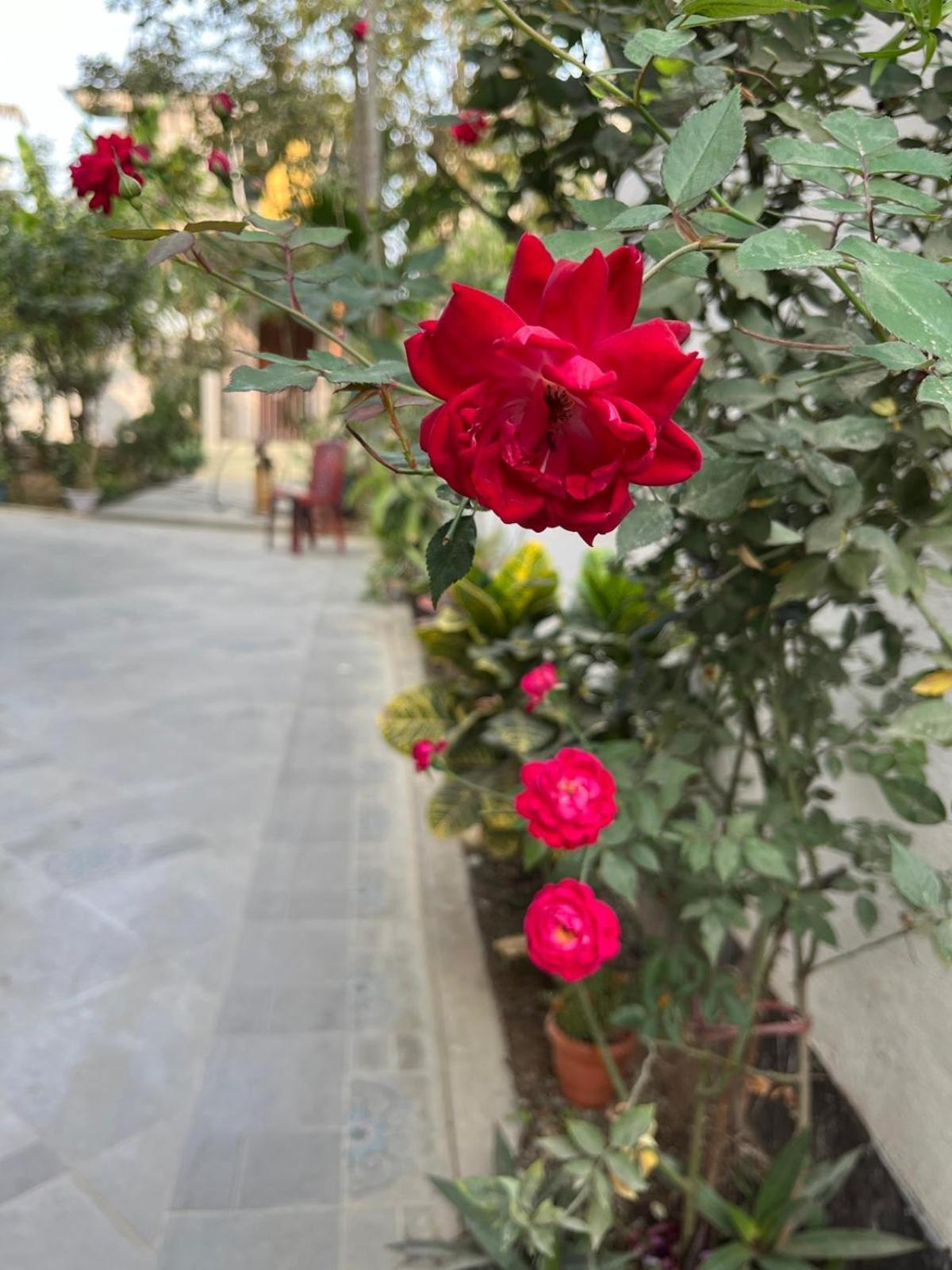 Amazing Homestay 구와하티 외부 사진